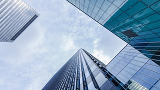 林木育种公司代理会计流程和费用明细变更